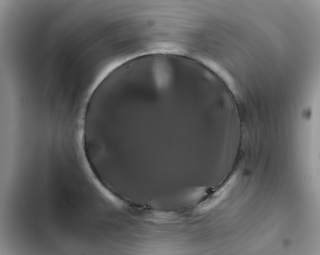 X0000102511383200808221807