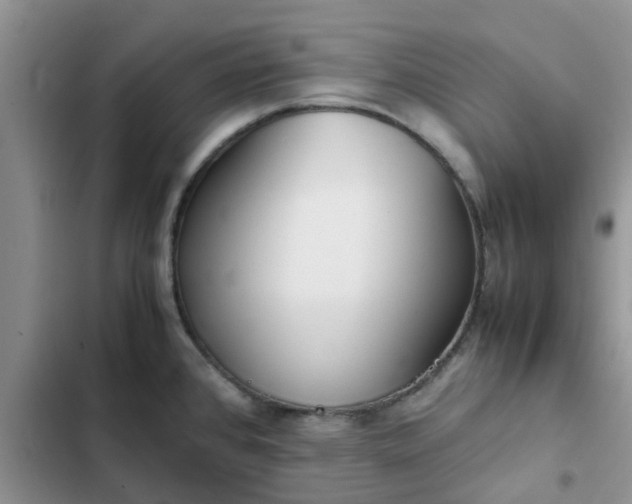 X0000102511384200808221807