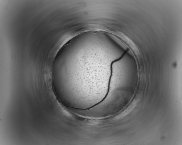 X0000102511385200808221807