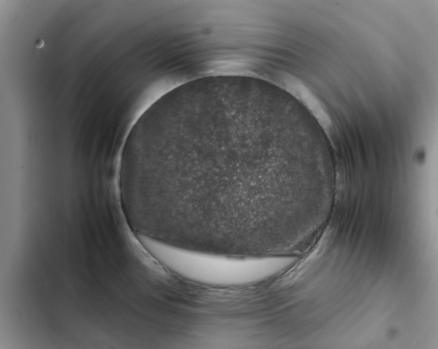 X0000102511386200808221807