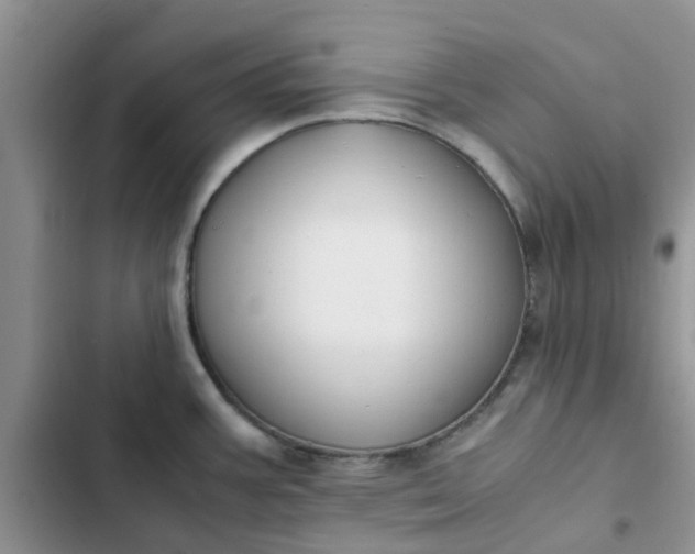 X0000102511387200808221807