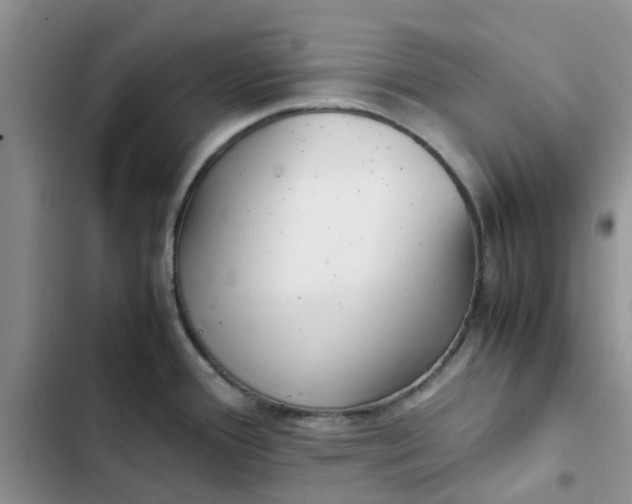 X0000102511388200808221807