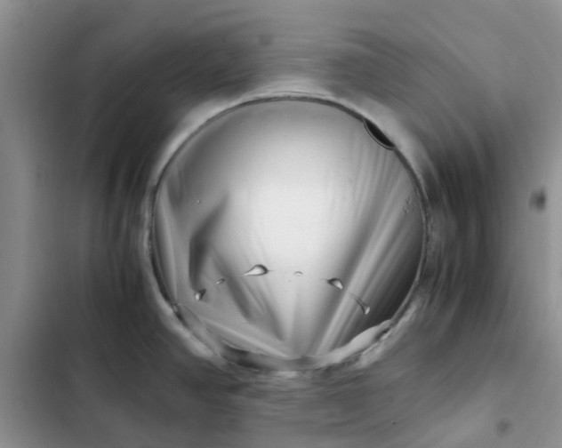 X0000102511390200808221807
