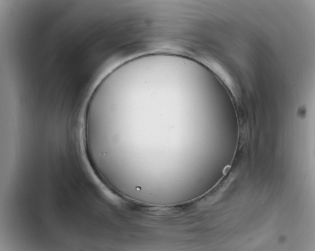 X0000102511391200808221807