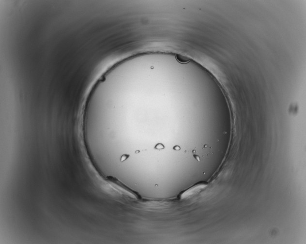X0000102511392200808221807