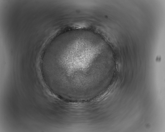 X0000102511393200808221807