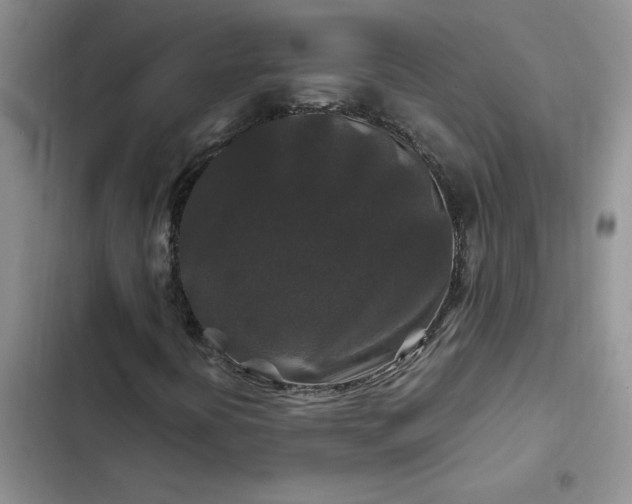 X0000102511394200808221807
