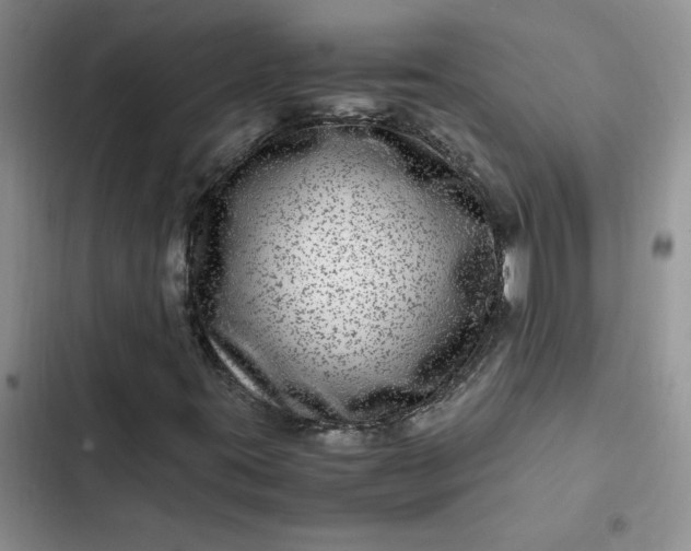 X0000102511395200808221807