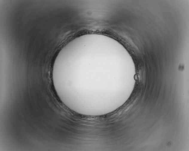 X0000102511396200808221807