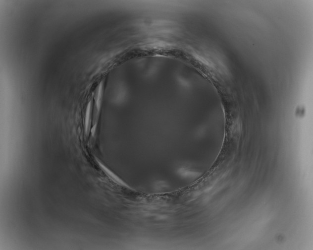 X0000102511397200808221807