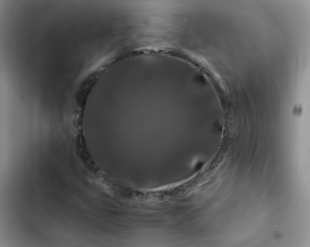 X0000102511399200808221807