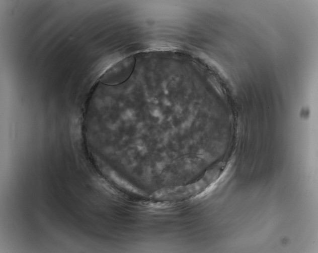 X0000102511401200808221807