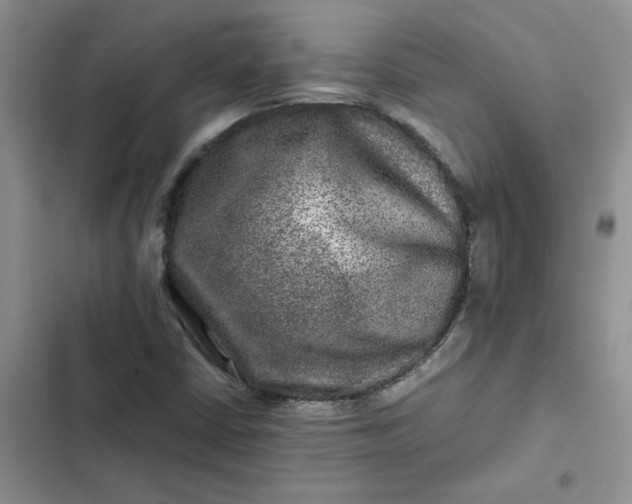 X0000102511402200808221807