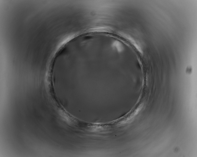 X0000102511405200808221807
