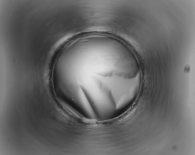 X0000102511406200808221807