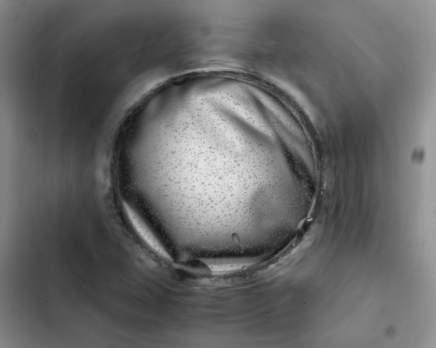 X0000102511407200808221807
