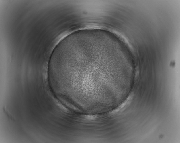 X0000102511409200808221807