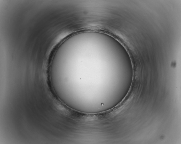 X0000102511410200808221807
