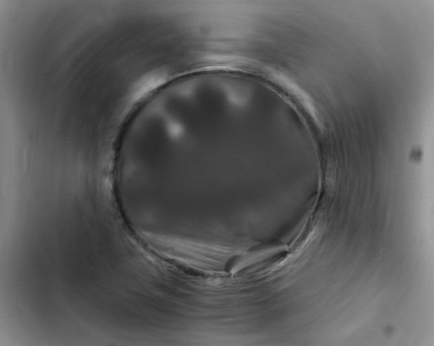 X0000102511411200808221807