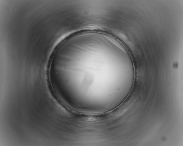 X0000102511412200808221807