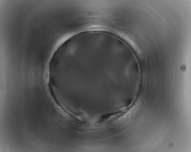 X0000102511413200808221807