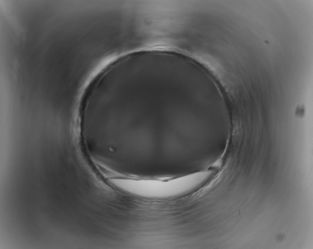 X0000102511414200808221807
