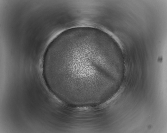 X0000102511415200808221807
