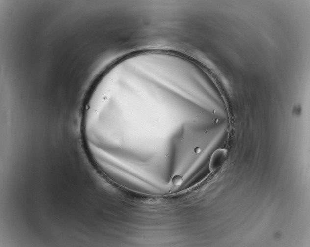 X0000102511416200808221807