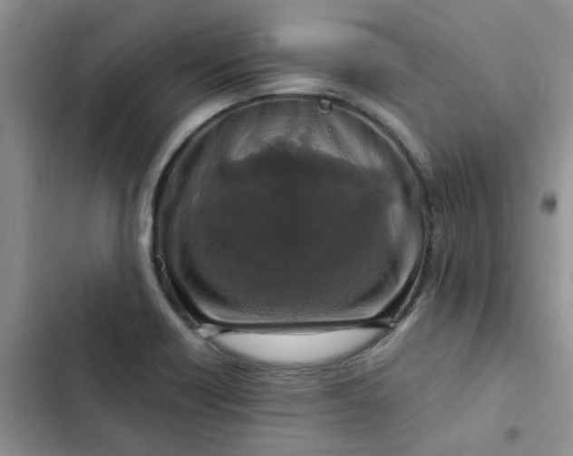 X0000102511418200808221807
