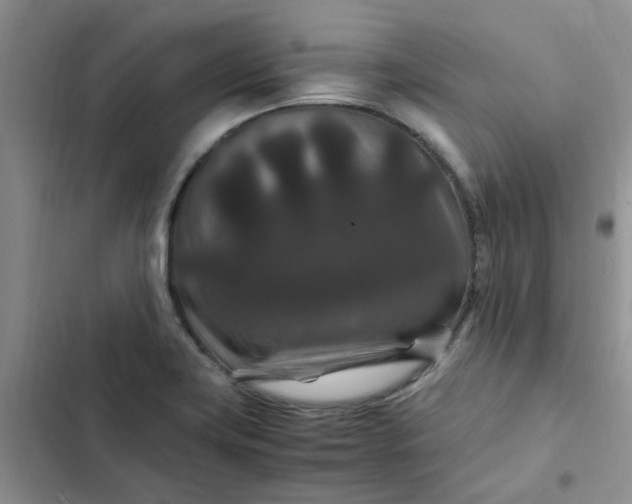 X0000102511419200808221807