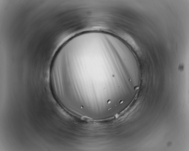 X0000102511420200808221807