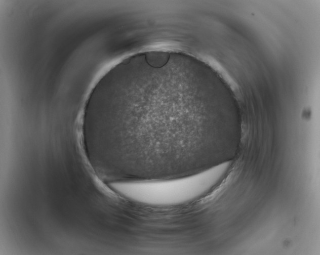X0000102511421200808221807