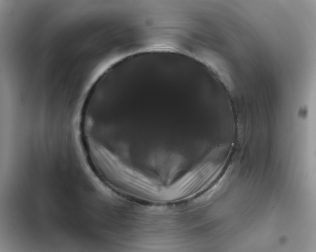 X0000102511422200808221807