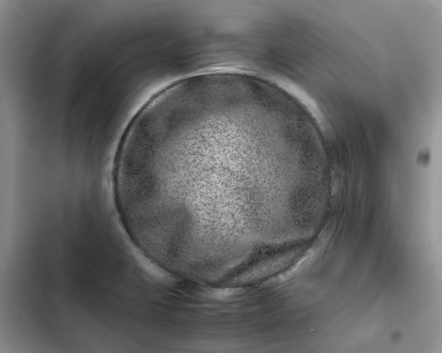 X0000102511423200808221807