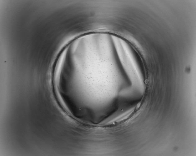 X0000102511424200808221807
