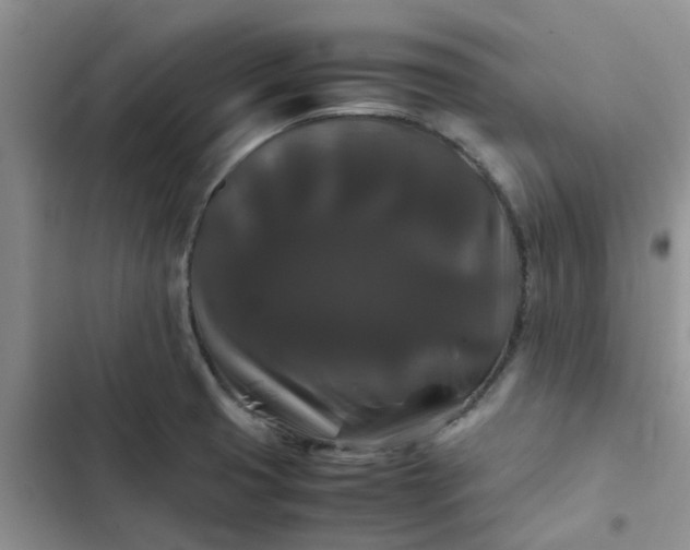 X0000102511425200808221807