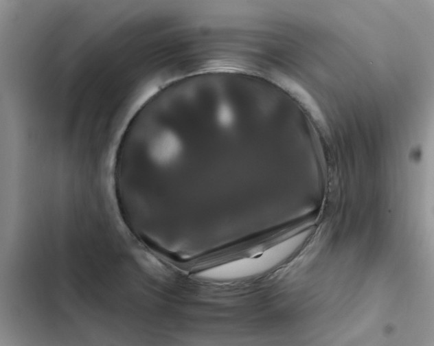 X0000102511427200808221807