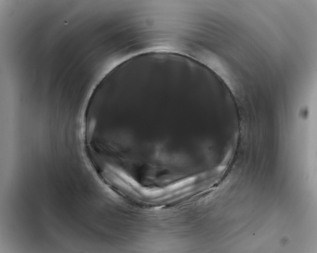 X0000102511428200808221807
