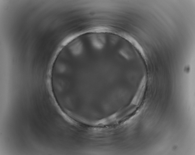 X0000102511429200808221807