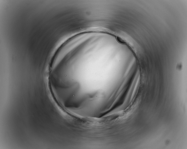 X0000102511430200808221807