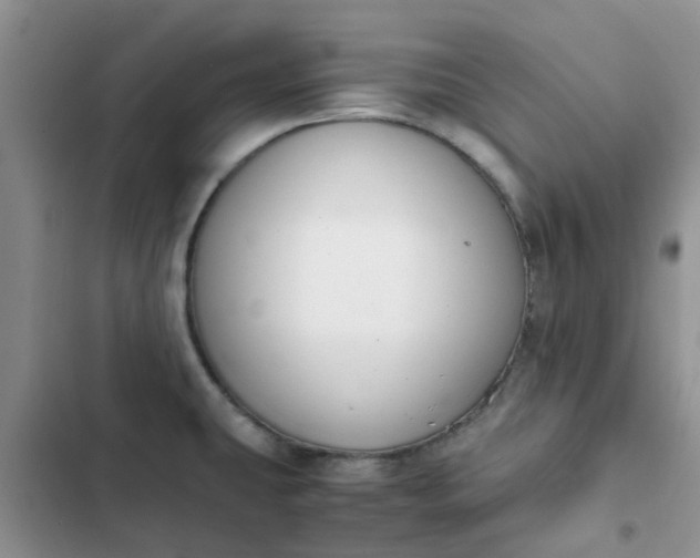 X0000102511431200808221807