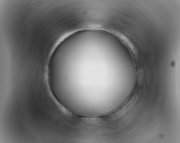 X0000102511432200808221807