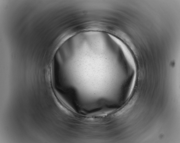 X0000102511433200808221807