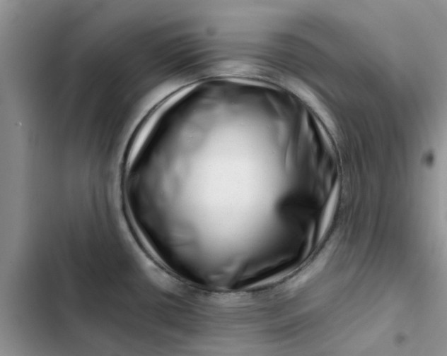 X0000102511434200808221807