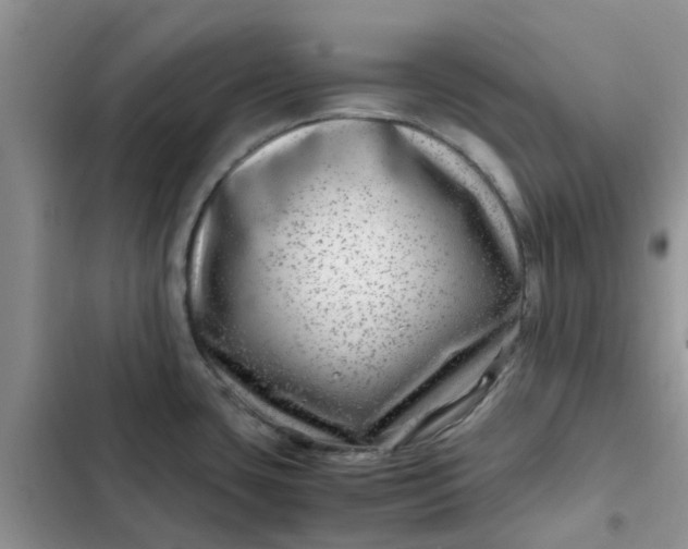 X0000102511435200808221807