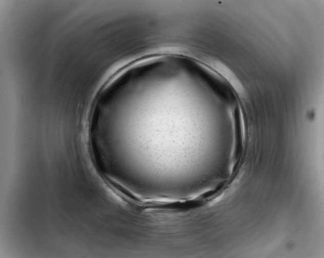 X0000102511436200808221807