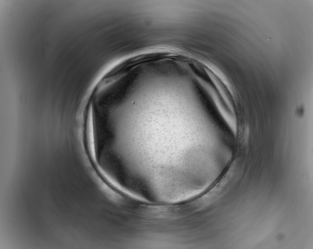 X0000102511438200808221807