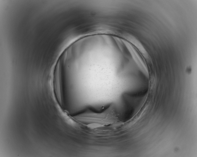 X0000102511439200808221807