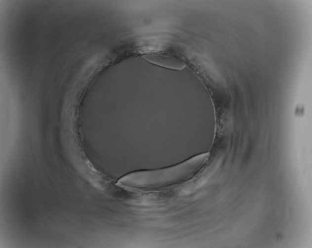 X0000102511441200808221806