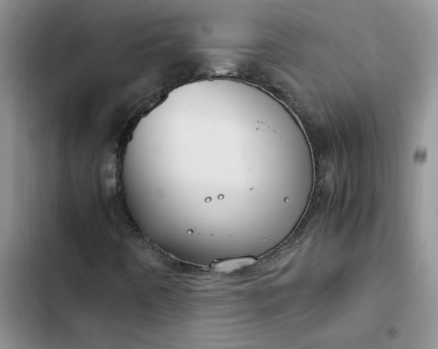 X0000102511442200808221806